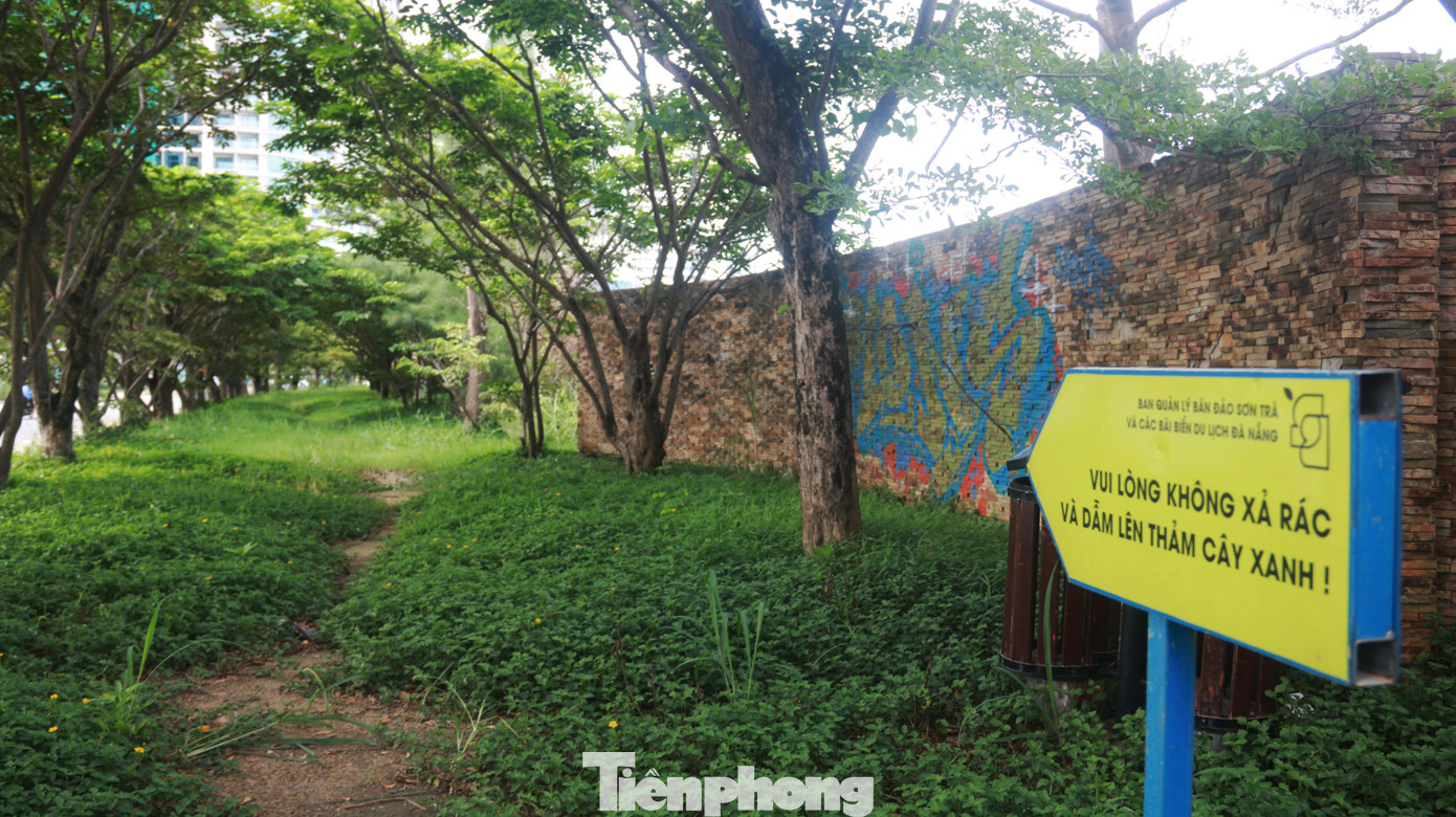 Đoạn đường Võ Nguyên Giáp (quận Sơn Trà) nơi được mệnh danh là "con đường Hàn Quốc", phía sau bức tường là một dự án chậm triển khai, bỏ hoang nhiều năm nay.