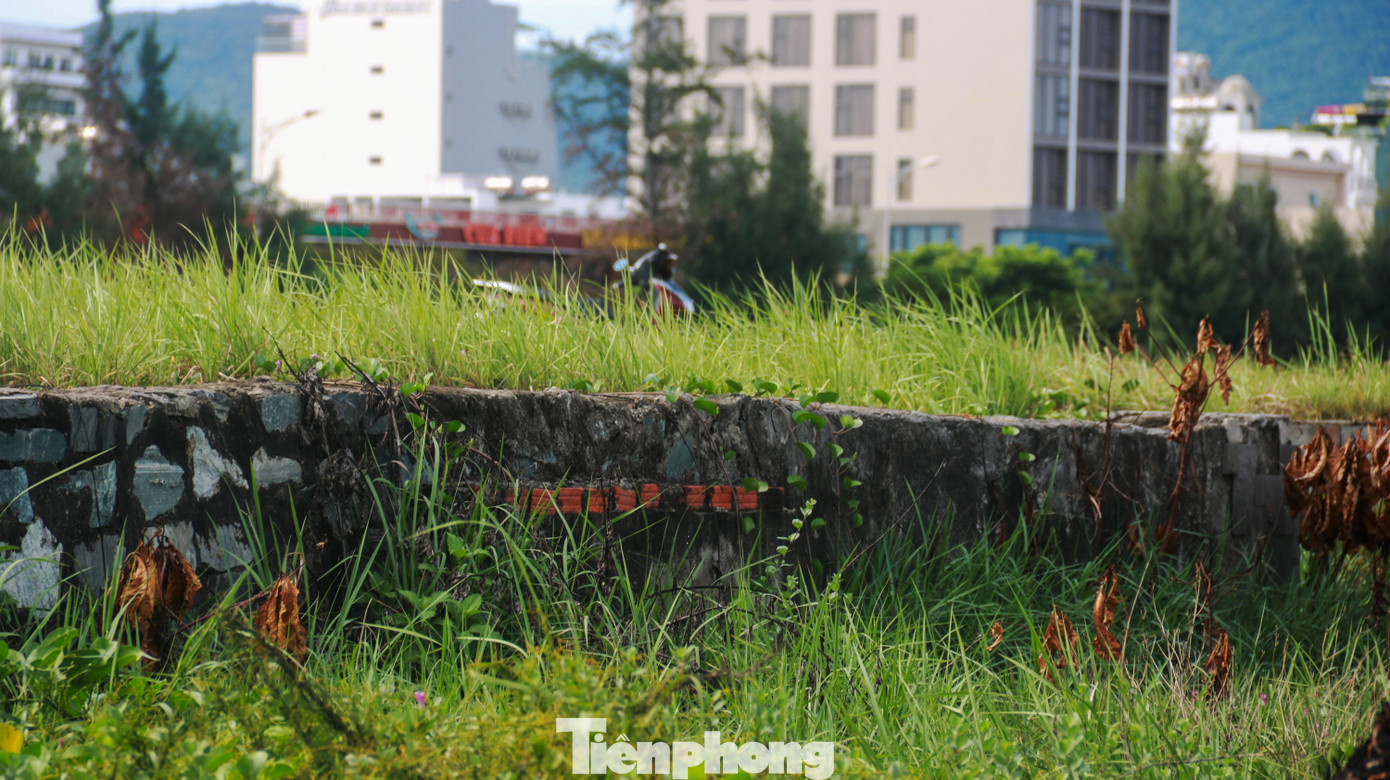 Cây cỏ mọc um tùm che lấp những nền móng, hạng mục làm dang dở.