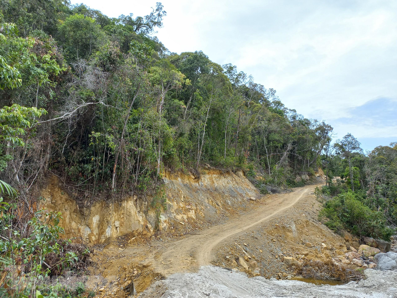 Đường công vụ đang được mở dang dở lên đỉnh núi Bằng Am. Theo UBND huyện Đại Lộc, đã qua thời gian rất dài mà Công ty Cổ phần Quảng Cường vẫn cố tình chây ì, chậm trễ trong việc triển khai thực hiện dự án Khu du lịch sinh thái Bằng Am. Ảnh: Nguyễn Thành Đường công vụ đang được mở dang dở lên đỉnh núi Bằng Am. Theo UBND huyện Đại Lộc, đã qua thời gian rất dài mà Công ty Cổ phần Quảng Cường vẫn cố tình chây ì, chậm trễ trong việc triển khai thực hiện dự án Khu du lịch sinh thái Bằng Am. Ảnh: Nguyễn Thành