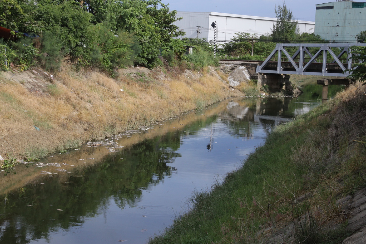 Theo người dân sinh sống khu vực kênh Đa Cô, sau trận mưa lớn ngày ngày 10/9, thì xảy ra tình trạng cá chết hàng loạt, trôi nổi bốc mùi hôi.