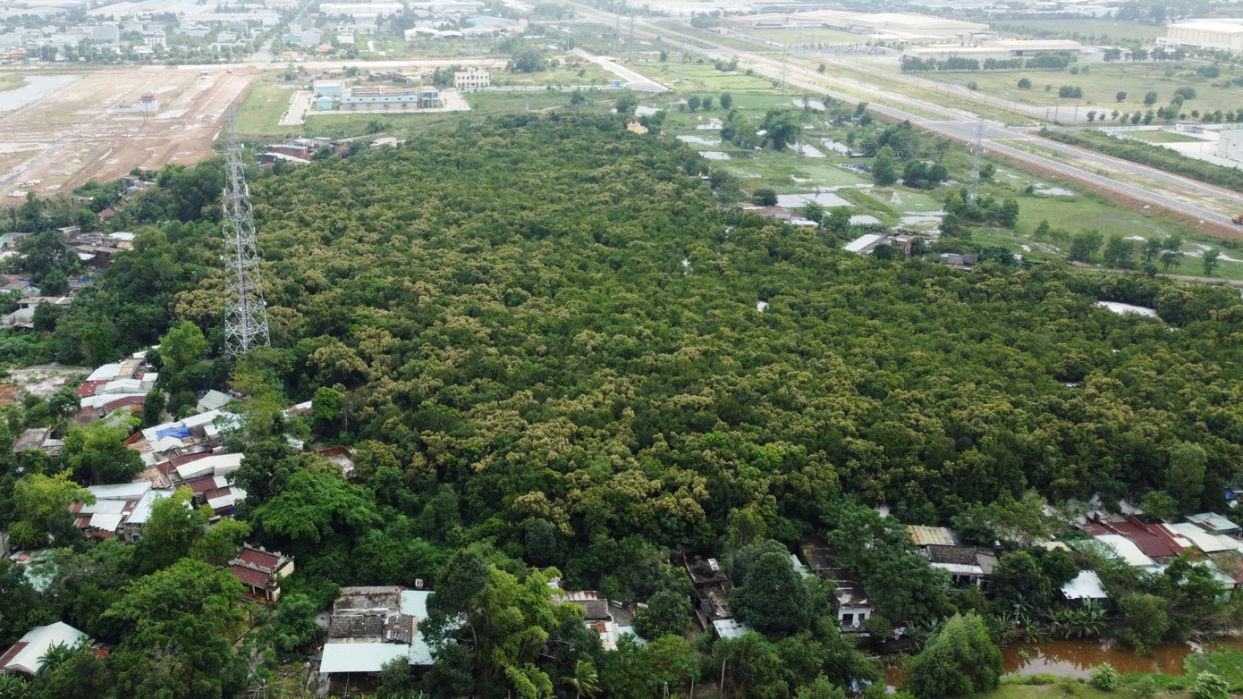 Rừng Trung Sơn mảng xanh giữa đô thị Đà Nẵng được người dân giữ gìn. Rừng Trung Sơn mảng xanh giữa đô thị Đà Nẵng được người dân giữ gìn.