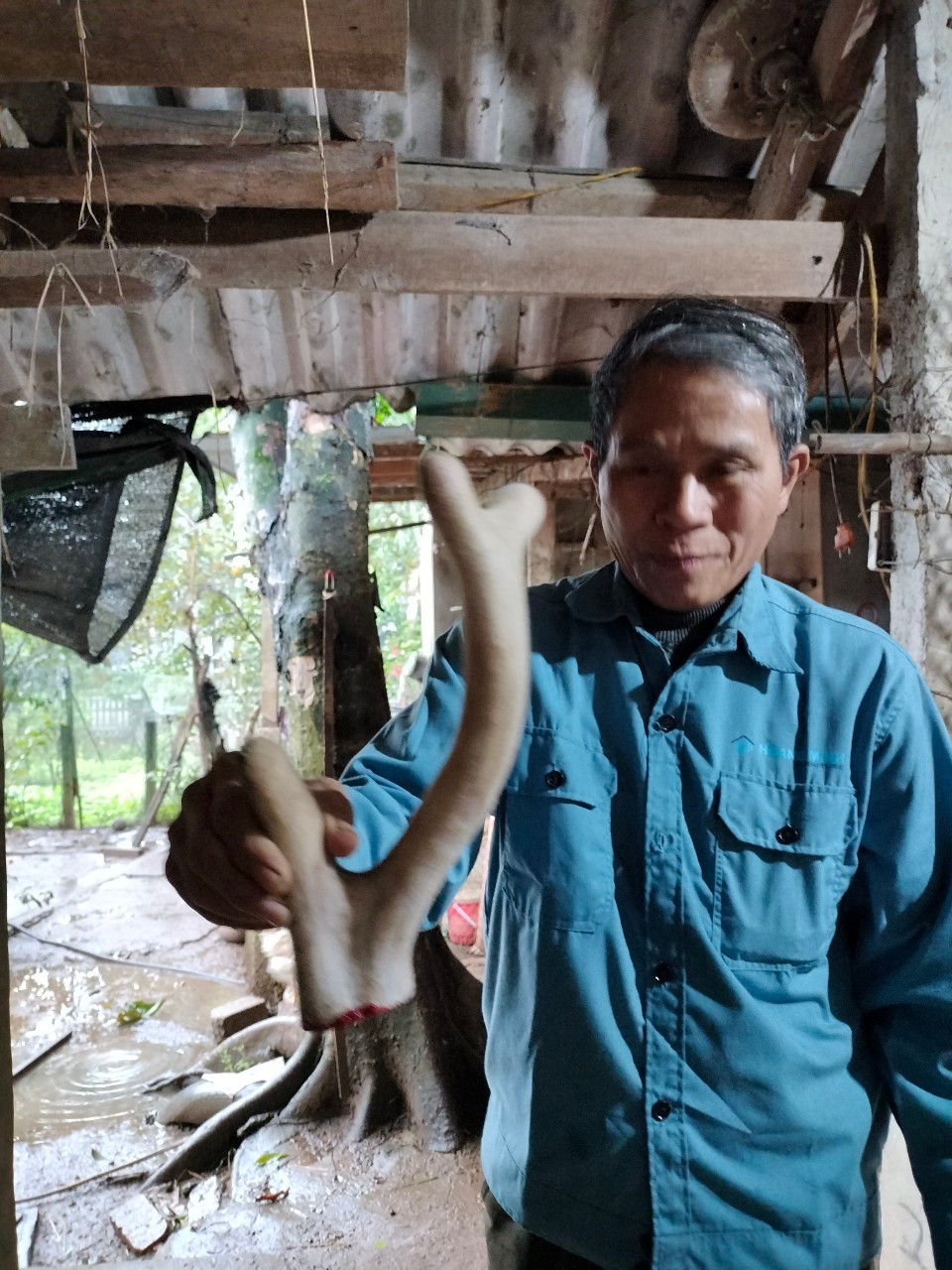 Trong y học cổ truyền nhung hươu là một loại dược liệu quý với những công dụng như tốt cho xương khớp, tốt cho tiêu hóa, giúp tinh thần thoải mái, hỗ trợ tăng cường sức khỏe và nhiều tác dụng khác..