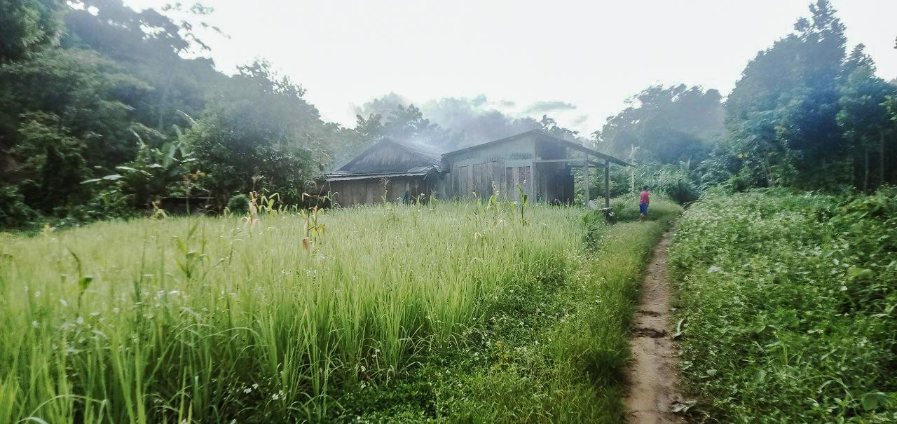 Từ lâu, Pêtapot được biết đến là cụm dân cư biệt lập giữa núi rừng Nam Giang (Quảng Nam). Cả cụm dân cư này chỉ vỏn vẹn 9 hộ dân với 37 nhân khẩu người đồng bào Giẻ Triêng.