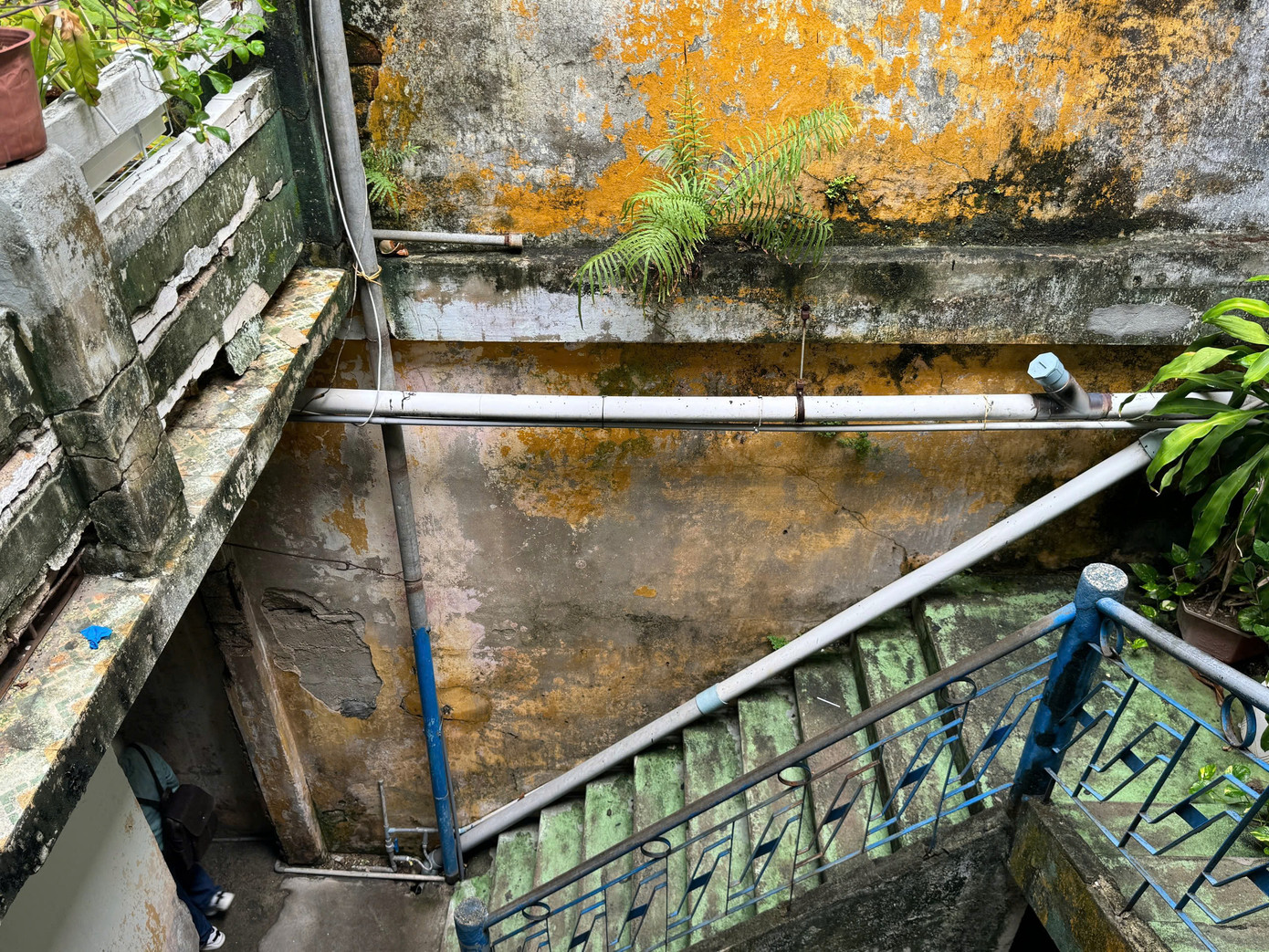 Bên trong một khu nhà tập thể đã xuống cấp, hư hỏng. Sở Xây dựng TP. Đà Nẵng cho hay khu nhà tập thể này cần được kịp thời sửa chữa, gia cường cấu kiện nguy hiểm và các hư hỏng cục bộ trước khi sử dụng tiếp.