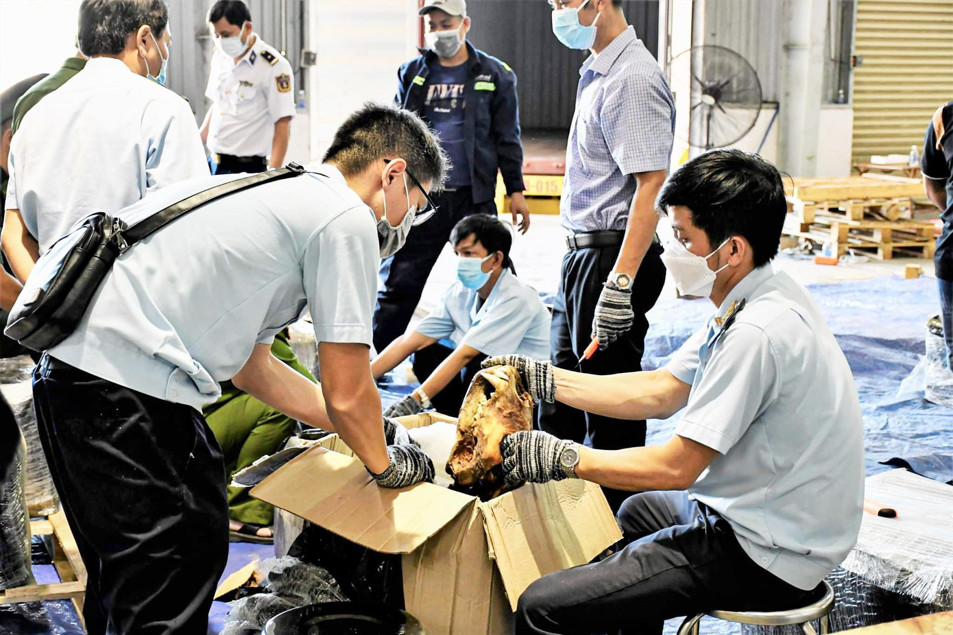 Hiện, Cục Hải quan Đà Nẵng đang chủ trì phối hợp với các lực lượng liên quan để xác minh, điều tra, xử lý theo quy định.