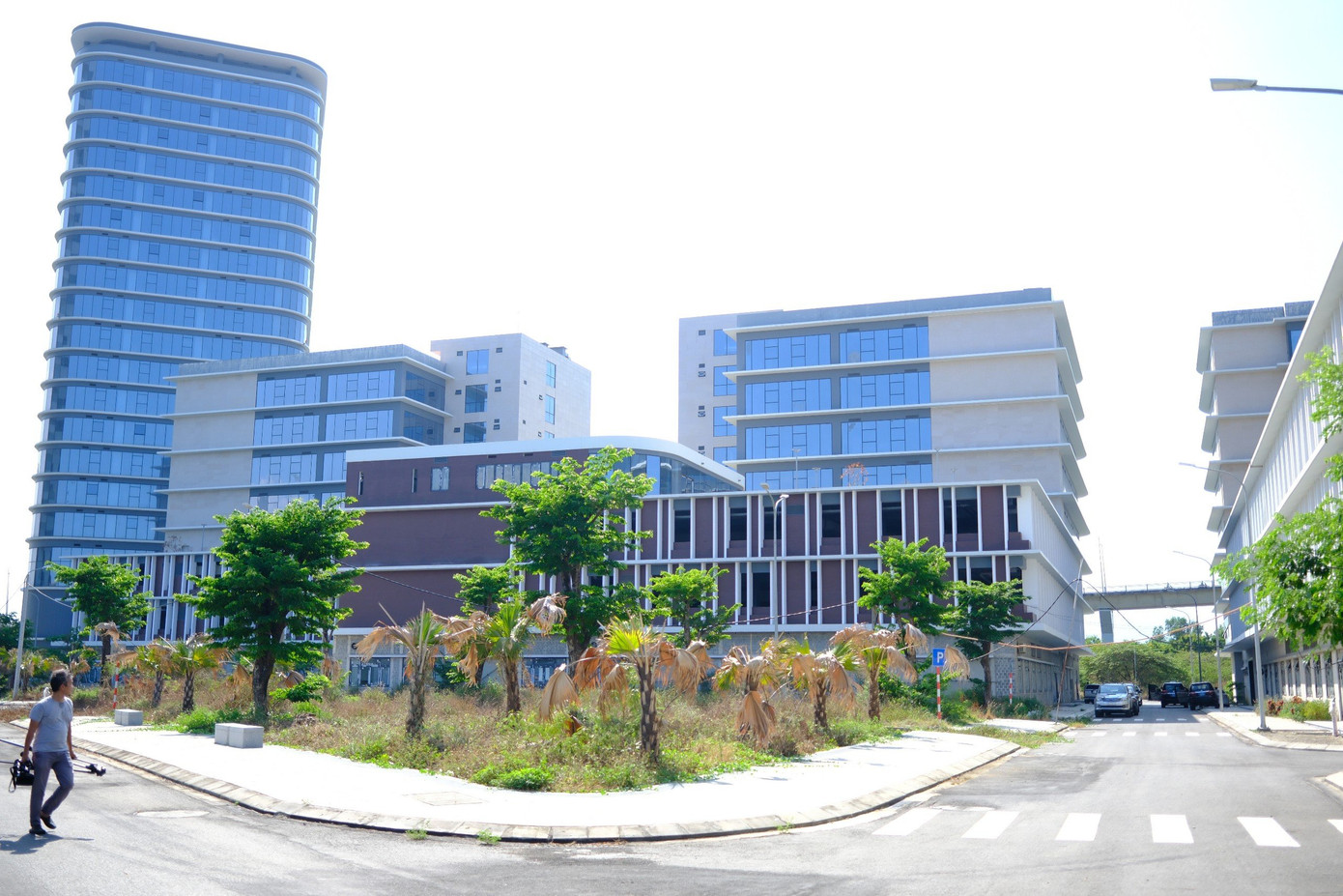 Do để không lâu ngày, nhiều cây xanh trong khuôn viên dự án đã bắt đầu khô héo, cỏ mọc um tùm.