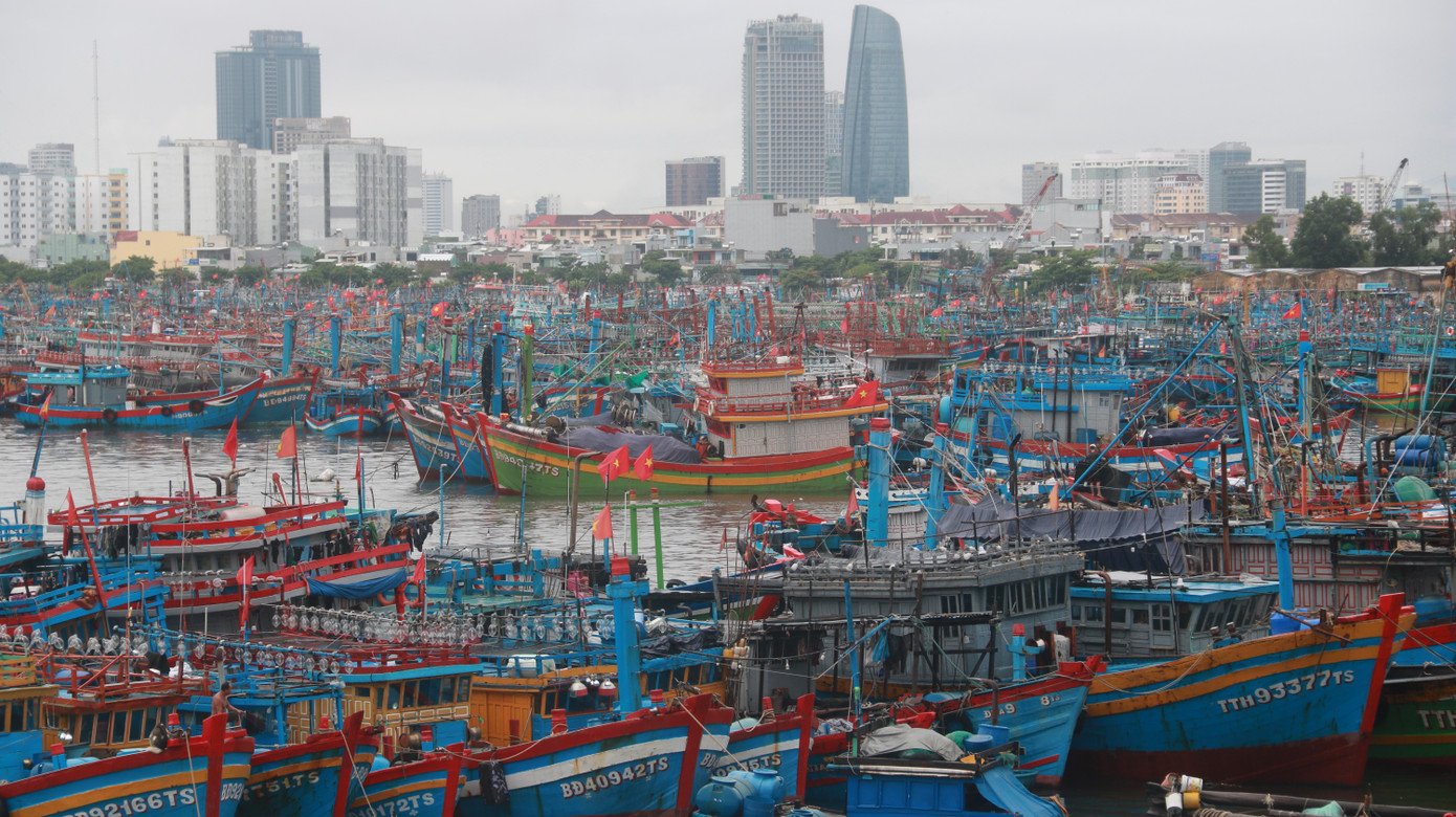 Tại âu thuyền Thọ Quang (Sơn Trà, TP Đà Nẵng), hàng ngàn tàu cá đã được kêu gọi về đây trú tránh bão. Bộ đội Biên phòng Đà Nẵng đang chủ động quản lý tàu thuyền và giữ thông tin liên lạc với các phương tiện đang hoạt động trên biển. Tại âu thuyền Thọ Quang (Sơn Trà, TP Đà Nẵng), hàng ngàn tàu cá đã được kêu gọi về đây trú tránh bão. Bộ đội Biên phòng Đà Nẵng đang chủ động quản lý tàu thuyền và giữ thông tin liên lạc với các phương tiện đang hoạt động trên biển.