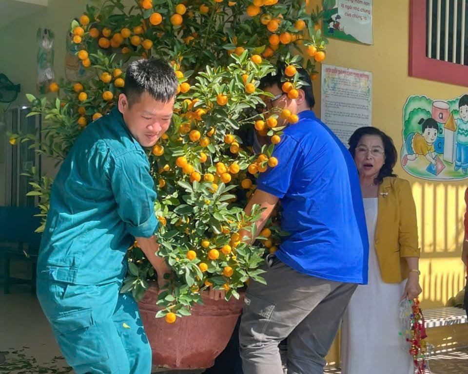 Thanh niên đoàn phường An Hải Bắc, quận Sơn Trà nhận cây quyên góp của người dân. Thanh niên đoàn phường An Hải Bắc, quận Sơn Trà nhận cây quyên góp của người dân.