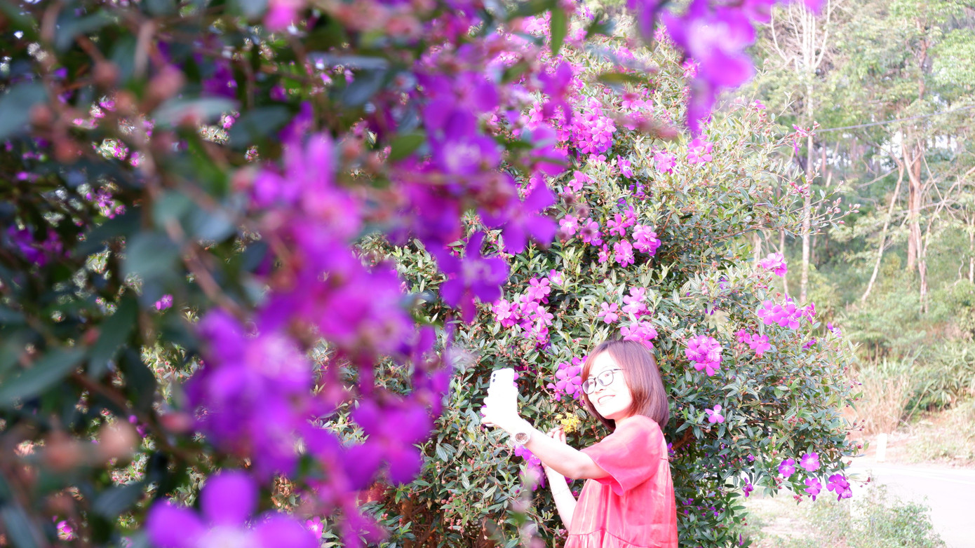 Màu tím hoa sim ven đường nở rộ điểm tô thêm vẻ đẹp của thị trấn giữa đại ngàn Tây Nguyên.