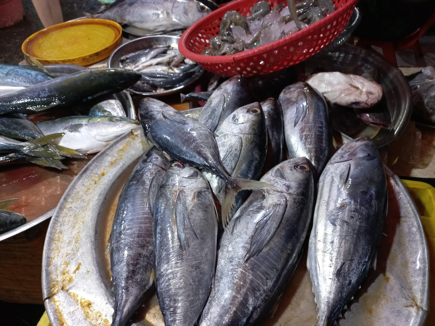 UBND TP Đà Nẵng đã giao Sở Công thương, Sở NN&amp;PTNT khẩn trương phân phối hải sản đến tận các chợ, hạn chế tiếp xúc. Bộ đội Biên phòng đóng các cửa biển, thông báo cho ngư dân trên biển không vào cảng cá Thọ Quang. Các quận, huyện chủ trì giám sát không để tự phát chợ tạm, ven đường bán hải sản.