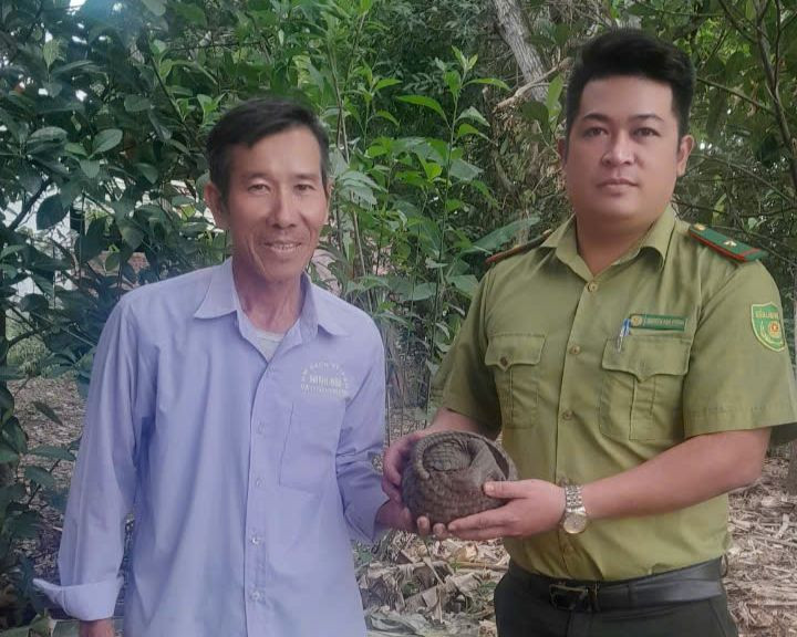 Cá thể Tê Tê được người dân giao nộp.