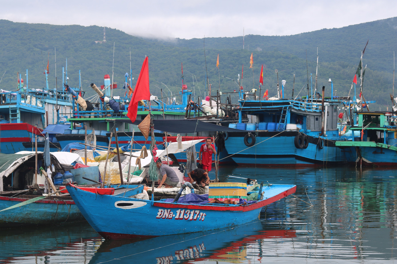 Các ghe, thuyền nhỏ được di chuyển vào sát bờ, trong khi các tàu lớn neo đậu sát nhau ở phía ngoài âu thuyền để tạo thành một hàng rào che chắn nếu có gió. Đây là cách và kinh nghiệm ngư dân miền Trung neo đậu tàu thuyền để bảo vệ tài sản của nhau. Các ghe, thuyền nhỏ được di chuyển vào sát bờ, trong khi các tàu lớn neo đậu sát nhau ở phía ngoài âu thuyền để tạo thành một hàng rào che chắn nếu có gió. Đây là cách và kinh nghiệm ngư dân miền Trung neo đậu tàu thuyền để bảo vệ tài sản của nhau.