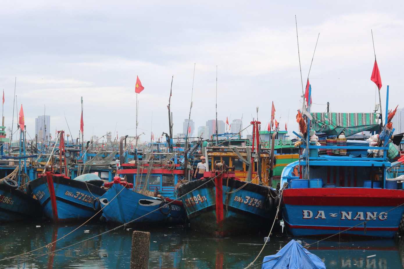 Ngày 19/9, tại TP. Đà Nẵng thời tiết nắng ráo, không có gió lớn, tuy nhiên công tác phòng chống mưa bão vẫn được duy trì ở mức cao. Tại âu thuyền Thọ Quang (quận Sơn Trà) các ngư dân vẫn túc trực, có mặt trên các tàu cá để kiểm tra tàu thuyền bảo đảm an toàn tài sản. Ngày 19/9, tại TP. Đà Nẵng thời tiết nắng ráo, không có gió lớn, tuy nhiên công tác phòng chống mưa bão vẫn được duy trì ở mức cao. Tại âu thuyền Thọ Quang (quận Sơn Trà) các ngư dân vẫn túc trực, có mặt trên các tàu cá để kiểm tra tàu thuyền bảo đảm an toàn tài sản.