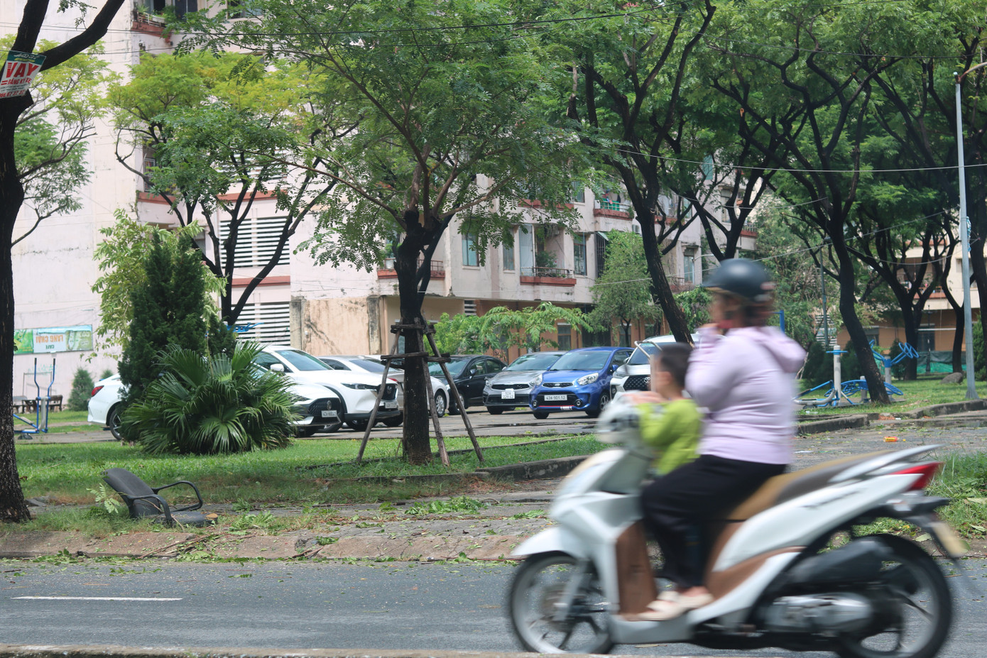 Một công viên ở quận Sơn Trà kín ô tô đậu trú tránh. Rút kinh nghiệm từ trận mưa, ngập lũ lịch sử năm 2022, nhiều người dân Đà Nẵng đã chủ động đưa xe ô tô lên khu vực cao ráo để tránh ngập. Một công viên ở quận Sơn Trà kín ô tô đậu trú tránh. Rút kinh nghiệm từ trận mưa, ngập lũ lịch sử năm 2022, nhiều người dân Đà Nẵng đã chủ động đưa xe ô tô lên khu vực cao ráo để tránh ngập.