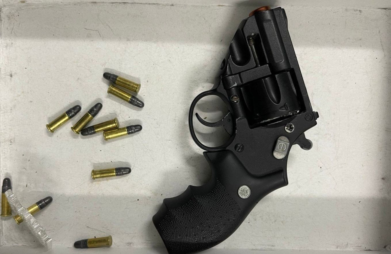 Khẩu súng và 10 viên đạn được phát hiện.