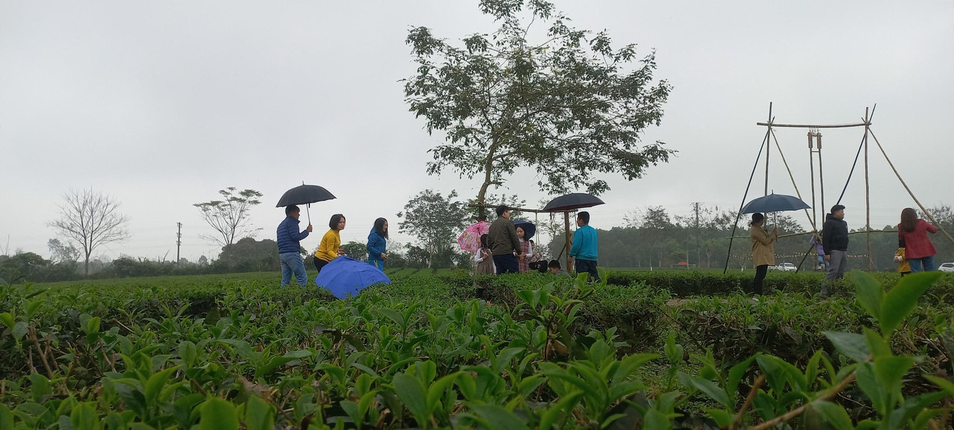 Người dân đội mưa tham quan đồi chè.
