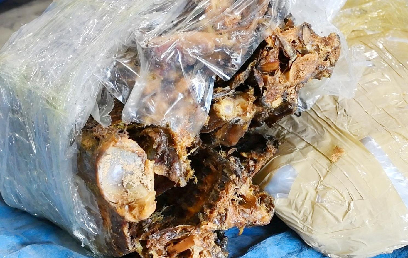 Xương động vật hoang dã được phát hiện bên trong các thùng hàng.