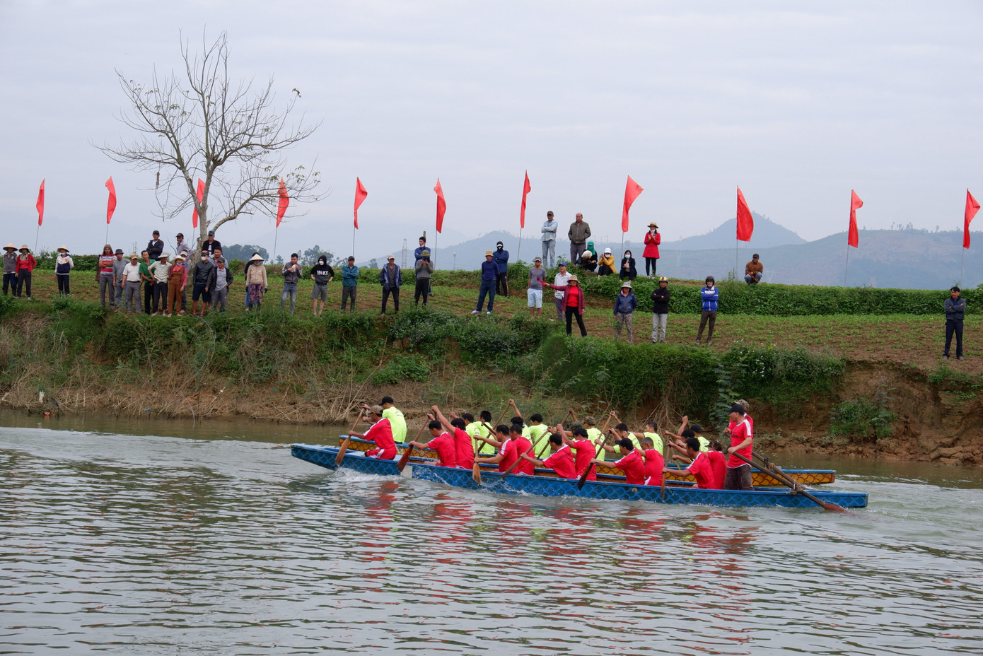 Dọc sông Túy Loan là các bãi bồi màu mỡ, dân làng nghỉ công việc đồng áng để theo dõi và cổ vũ cho thuyền của làng mình.