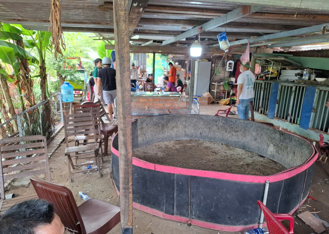 Theo đó, sau 5 ngày tích cực đấu tranh, Phòng Cảnh sát hình sự, Công an TP Đà Nẵng đã xác định được nhóm đối tượng cầm đầu tổ chức cá độ và hàng trăm con bạc đến tham gia cá độ tại tụ điểm núp bóng lán trại nuôi gà để tổ chức đánh bạc bằng hình thức cá độ đá gà tại tổ 129, phường Hòa Minh, quận Liên Chiểu, TP Đà Nẵng… Theo đó, sau 5 ngày tích cực đấu tranh, Phòng Cảnh sát hình sự, Công an TP Đà Nẵng đã xác định được nhóm đối tượng cầm đầu tổ chức cá độ và hàng trăm con bạc đến tham gia cá độ tại tụ điểm núp bóng lán trại nuôi gà để tổ chức đánh bạc bằng hình thức cá độ đá gà tại tổ 129, phường Hòa Minh, quận Liên Chiểu, TP Đà Nẵng…