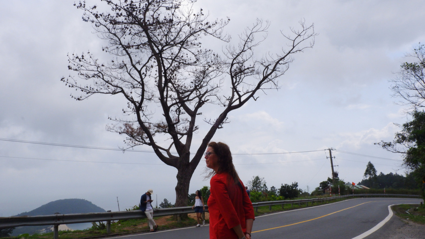 Du khách nước ngoài tham quan, check-in bên cây thông "cô đơn" trên đèo Hải Vân.