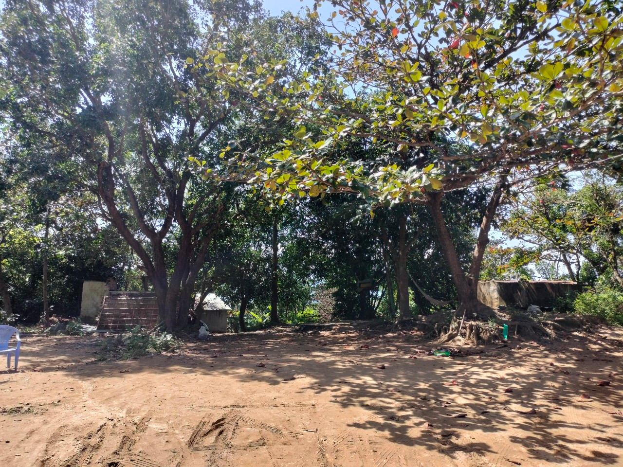 Một khu vực có công trình xây dựng trái phép trên bán đảo Sơn Trà đã được tháo dỡ trong năm 2022. Ảnh: Nguyễn Thành Một khu vực có công trình xây dựng trái phép trên bán đảo Sơn Trà đã được tháo dỡ trong năm 2022. Ảnh: Nguyễn Thành