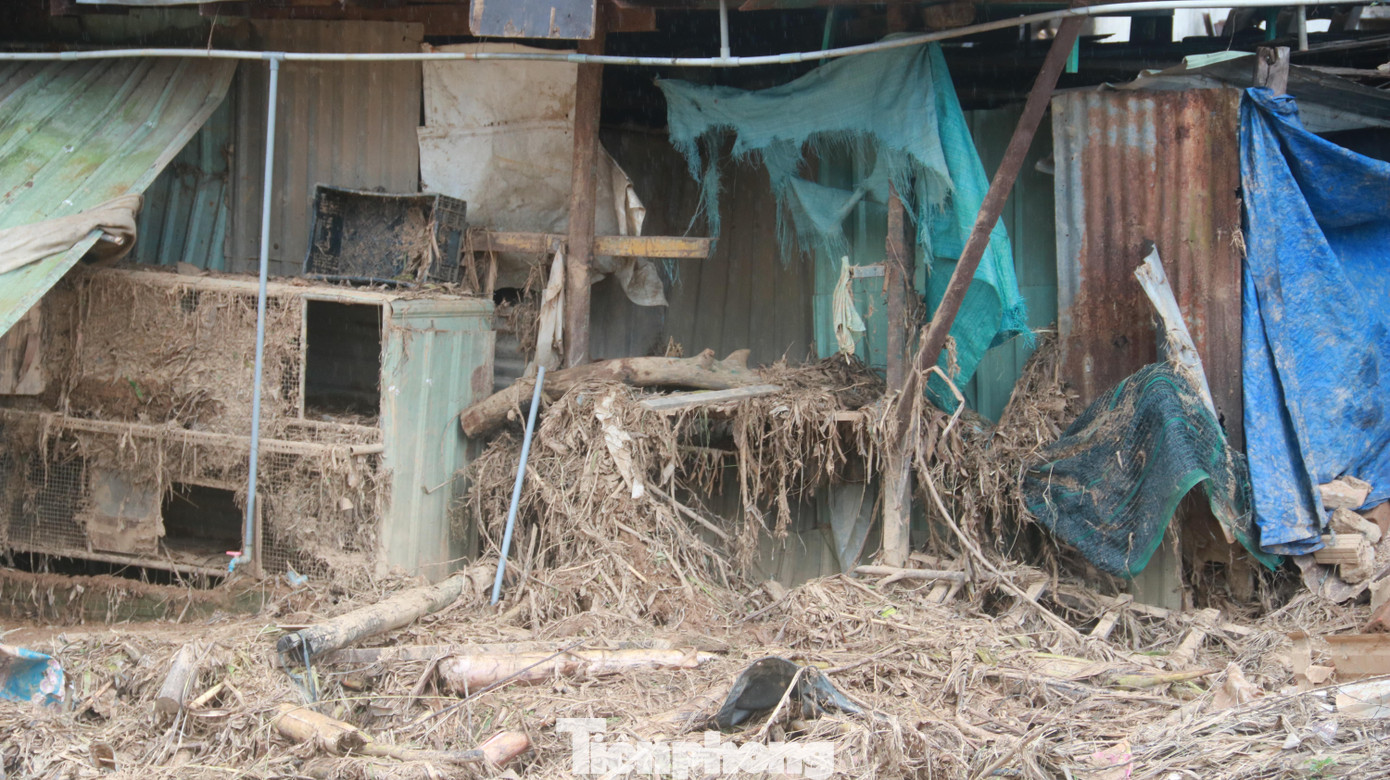 Sự cố vỡ đập Hố Dư do mưa lớn trong đêm 14/10 ảnh hưởng đến 165 hộ dân ở thôn Thạch Nham Đông xã Hòa Nhơn. Nhà cửa đổ sập, tài sản của nhiều hộ dân bị lũ cuốn trôi sạch.