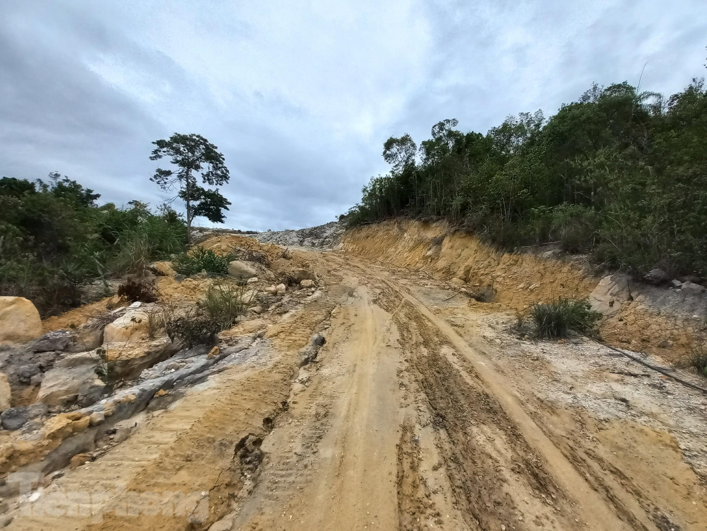 Theo tìm hiểu, từ khi được phê duyệt quy hoạch chi tiết xây dựng đến hết năm 2016 chủ đầu tư dự án không tiến hành lập các hồ sơ, thủ tục tiếp theo để đầu tư dự án. Ngày 25/1/2017, UBND tỉnh Quảng Nam có công văn về việc hoàn chỉnh quy hoạch 1/500 của dự án Khu du lịch sinh thái Bằng Am với quy mô 145ha và thực hiện đầu tư phân khu văn hóa tâm linh với quy mô 24,4ha. Theo tìm hiểu, từ khi được phê duyệt quy hoạch chi tiết xây dựng đến hết năm 2016 chủ đầu tư dự án không tiến hành lập các hồ sơ, thủ tục tiếp theo để đầu tư dự án. Ngày 25/1/2017, UBND tỉnh Quảng Nam có công văn về việc hoàn chỉnh quy hoạch 1/500 của dự án Khu du lịch sinh thái Bằng Am với quy mô 145ha và thực hiện đầu tư phân khu văn hóa tâm linh với quy mô 24,4ha.