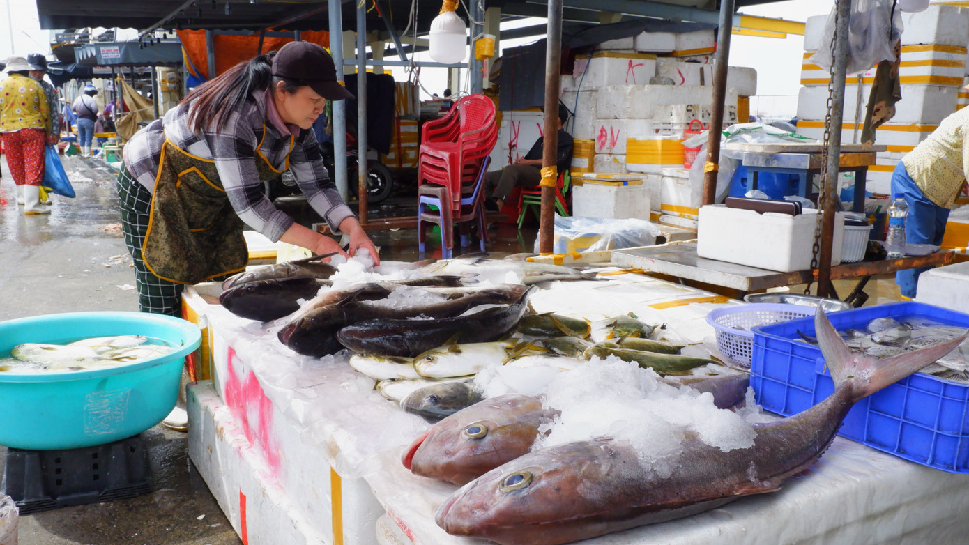 Theo dự báo những ngày sát Tết nguyên đán lượng thủy sản qua cảng Thọ Quang sẽ tăng từ 20-30% so với ngày thường, giúp bảo đảm nguồn hải sản cho thị trường dịp Tết.