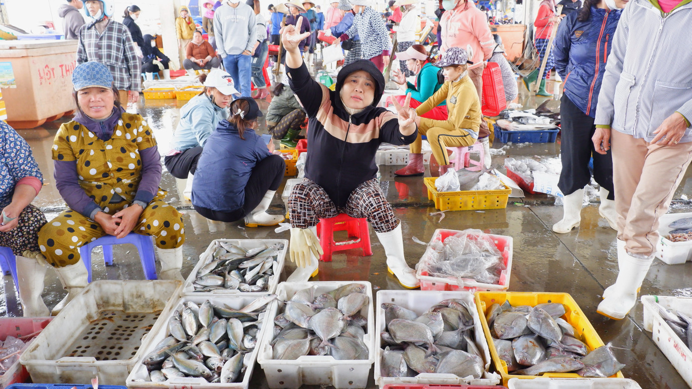 Cá từ các tàu được vận chuyển lên bán lại cho thương lái. Các thương lái sau khi thu mua, một phần chở đi các địa phương, một phần bày bán ngay chợ cảng cá Thọ Quang.