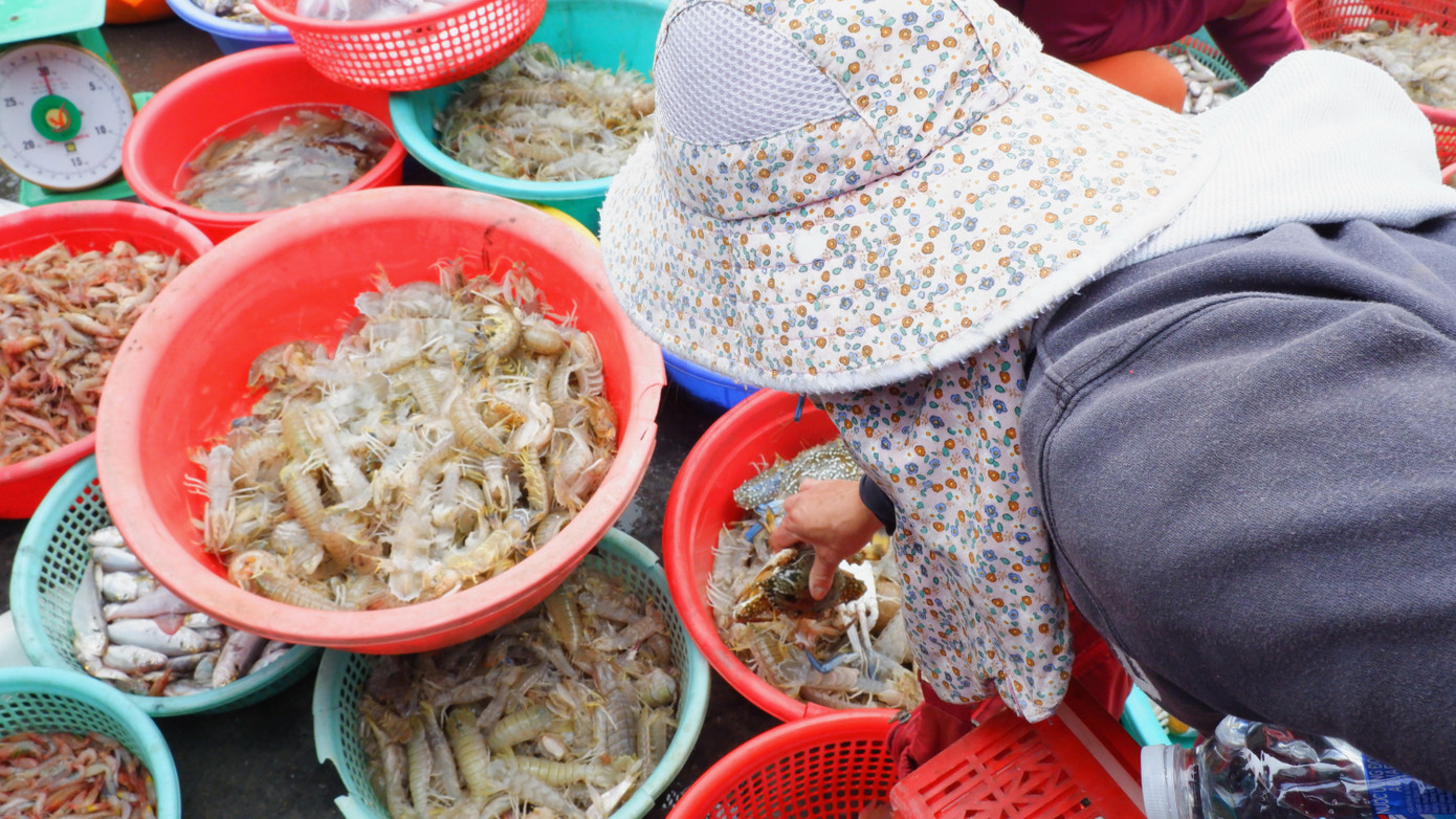 Tiểu thương tự tay lựa chọn các loại hải sản tươi ngon, nhiều loại còn sống ngay tại cảng cá Thọ Quang.
