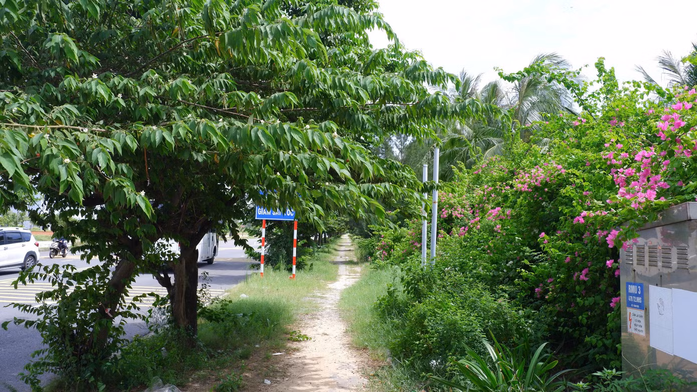 Mặt tiền dự án đường Trường Sa được vây kín, cây cối phủ kín tường rào. UBND TP Đà Nẵng đã nhiều lần yêu cầu chủ đầu tư triển khai, nếu không sẽ thu hồi dự án.