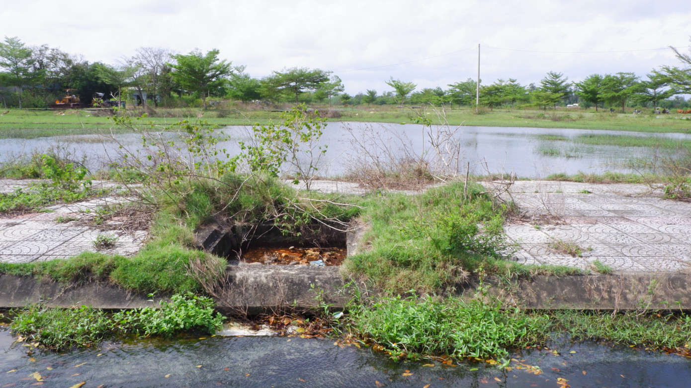 Cảnh nhếch nhác, nước đọng, cỏ cây mọc um tùm khắp 3 dự án khiến khách hàng mua đất tại 3 dự án không khỏi xót xa. UBND tỉnh Quảng Nam cũng yêu cầu chủ đầu tư dự án phải xây dựng kế hoạch, lộ trình cụ thể để triển khai thực hiện các dự án đảm bảo tiến độ được cấp thẩm quyền điều chỉnh. Lộ trình này phải được gửi đến cơ quan chức năng để làm cơ sở quản lý tiến độ và theo dõi việc triển khai thực hiện dự án theo quy định
