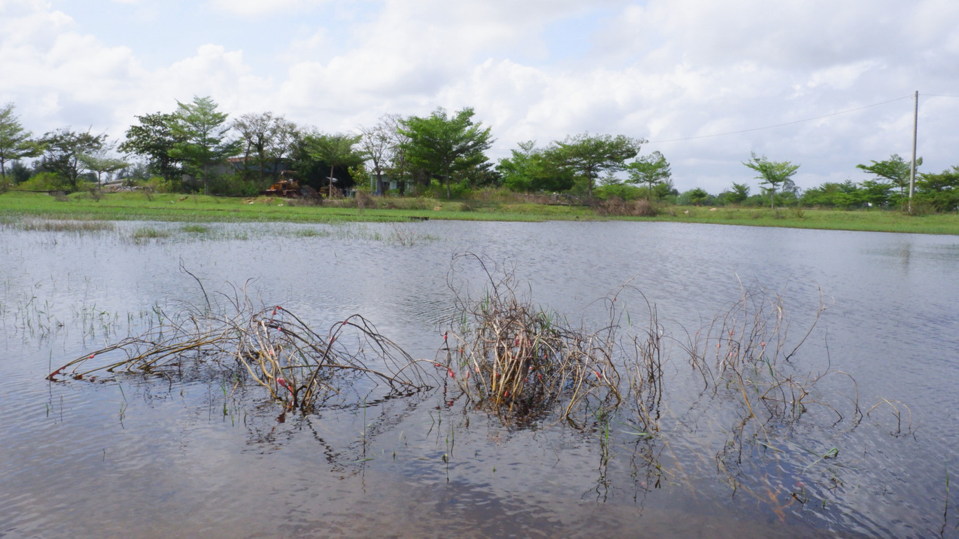 Trường hợp phần diện tích còn lại là hạ tầng khung đô thị, hạ tầng giao thông kết nối, áp dụng mọi biện pháp để giải quyết dứt điểm công tác bồi thường, giải phóng mặt bằng, đảm bảo kết nối đồng bộ với hạ tầng chung của khu vực. Trường hợp không thể tiếp tục giải phóng mặt bằng, không thuộc phạm vi đầu tư hạ tầng khung đô thị, hạ tầng giao thông kết nối, tổ chức đánh giá tình hình thực hiện quy hoạch, lập hồ sơ, thủ tục báo cáo cấp có thẩm quyền xem xét, cho ý kiến về việc điều chỉnh quy hoạch chi tiết (1/500).