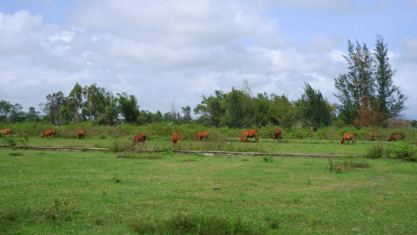 Theo ghi nhận tại 3 dự án, hạ tầng còn dang dở, cỏ mọc um tùm đang trở thành nơi người dân chăn thả bò lý tưởng. Năm 2017, Công ty CP Bách Đạt An ký hợp đồng giao Công ty Cổ phần Đầu tư Hoàng Nhất Nam phân phối gần 1.000 lô đất tại 3 dự án khu đô thị 7B mở rộng, Hera Complex Riverside và Bách Đạt. Sau đó, 2 công ty nảy sinh tranh chấp và đưa nhau ra tòa. Dù đã có các phán quyết của tòa nhưng quá trình thi hành án trả quyền lợi cho khoảng 1.000 khách hàng gặp khó khăn do chủ đầu tư không thực hiện các nghĩa vụ liên quan.