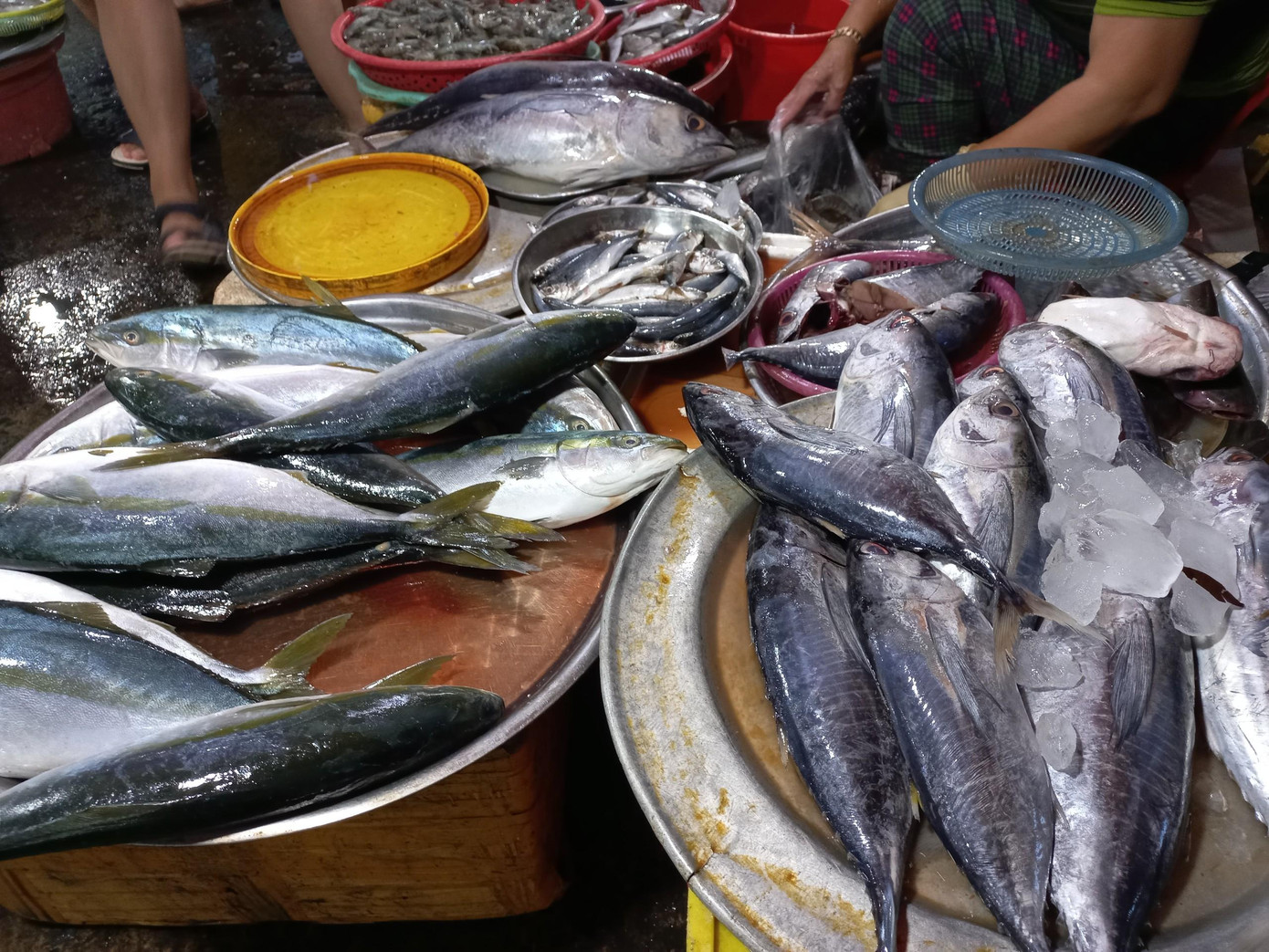 Theo Ban quản lý cảng cá Thọ Quang, hiện nay lượng hải sản còn dữ trữ trong kho hơn 250 tấn. Trong tối nay và sáng mai (26/7), nhiều tàu cá sẽ cập bờ nên lượng hải sản đủ cung ứng trong những ngày tới.