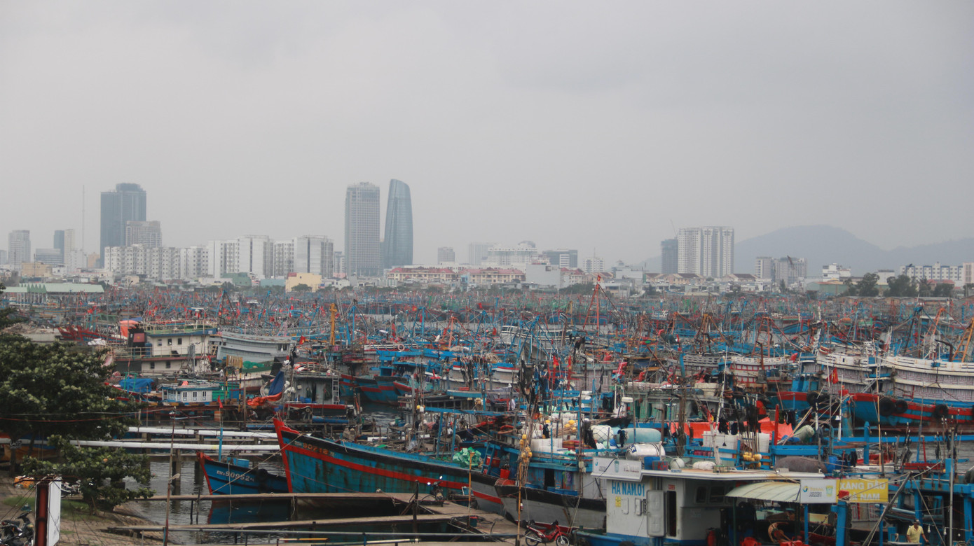 Tàu thuyền neo đậu ở âu thuyền Thọ Quang (Sơn Trà, Đà Nẵng).