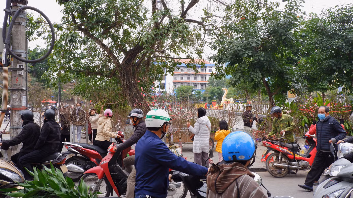 Chợ hoa cạnh quảng trường Hòa Bình, TP Nam Định ngày 28/1 tấp nập người mua, bán.
