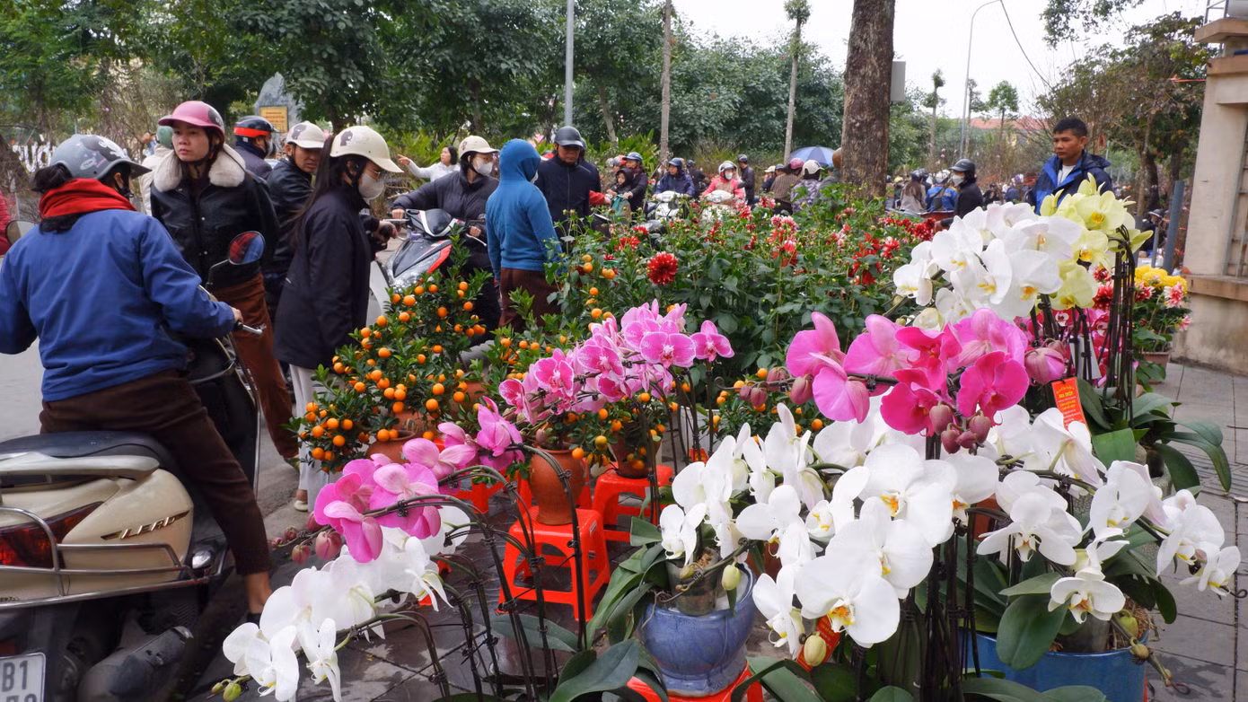 Sặc sỡ các loại hoa dọc đường Trần Phú, Phạm Hồng Thái.