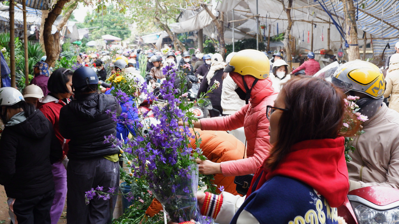 Giá các loại hoa trong ngày cuối năm "hạ nhiệt". Nhiều người tranh thủ lựa chọn những bó hoa ưa thích về chưng Tết.