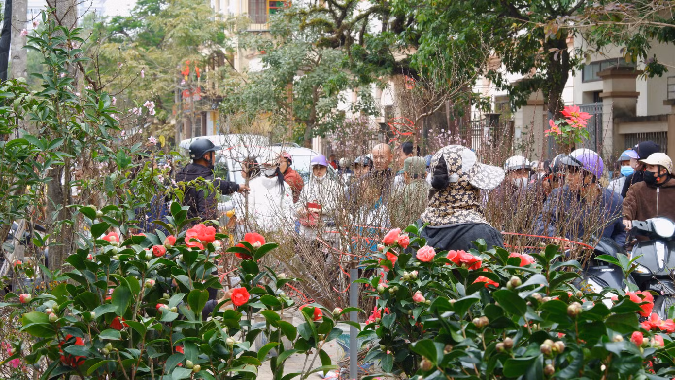Theo ghi nhận, chiều ngày 28/1, ngày cuối cùng của năm Giáp Thìn, chợ hoa vẫn thu hút lượng lớn người dân TP Nam Định và các vùng lân cận đến mua bán. Ở chợ hoa bày bán đủ loại hoa, đào, quất...phục vụ người dân chơi Tết.
