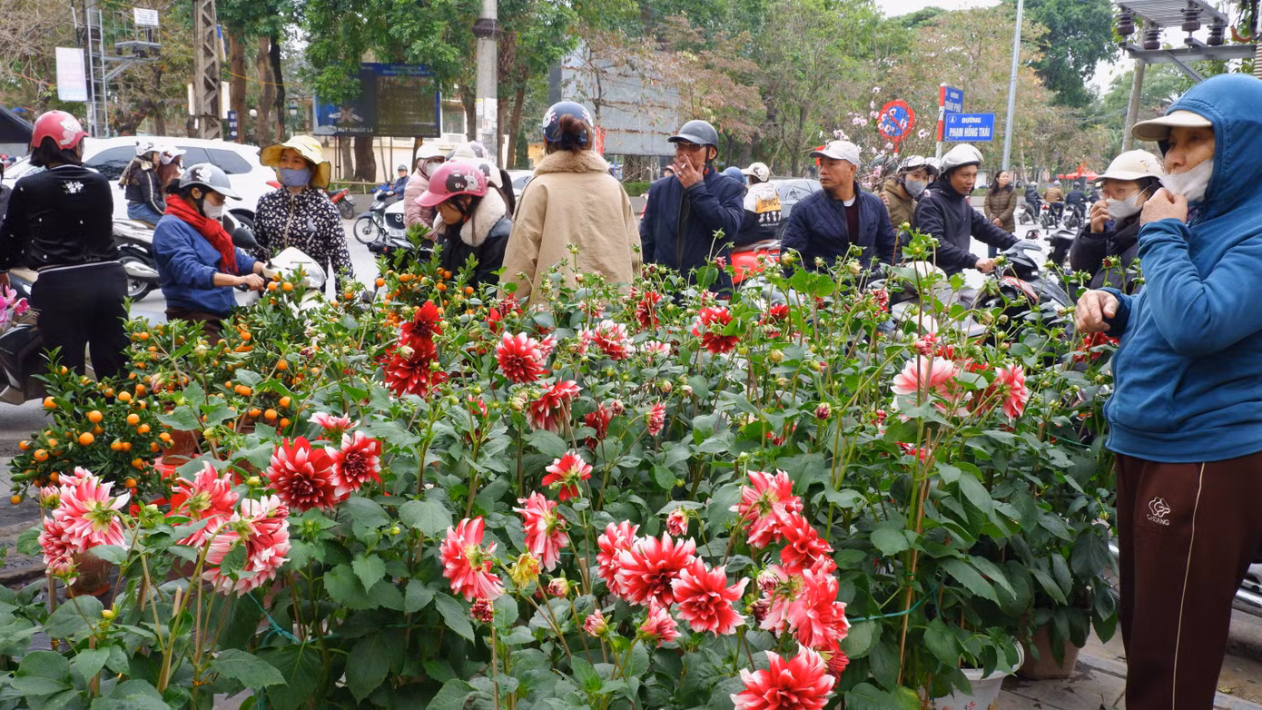 Sặc sỡ các loại hoa dọc đường Trần Phú, Phạm Hồng Thái.