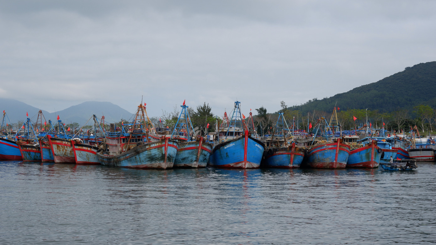 Trong khi đó, nhiều tàu cá ngư dân neo đậu tại âu thuyền Thọ Quang cũng đang tất bật dự trữ lương thực, nhu yếu phẩm, ngư cụ, xăng dầu, đá lạnh... để ra khơi mở hàng biển đầu năm sau kỳ nghỉ Tết. Trong khi đó, nhiều tàu cá ngư dân neo đậu tại âu thuyền Thọ Quang cũng đang tất bật dự trữ lương thực, nhu yếu phẩm, ngư cụ, xăng dầu, đá lạnh... để ra khơi mở hàng biển đầu năm sau kỳ nghỉ Tết.