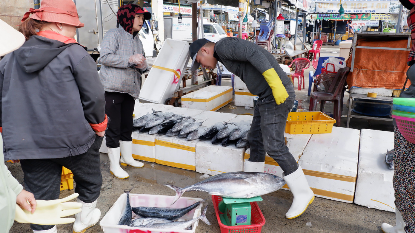 Hằng ngày, các tàu cá cập cảng theo các khung giờ khác nhau cũng là lúc chợ cảng cá Thọ Quang tấp nập tiểu thương đến thu mua các loại hải sản. Hằng ngày, các tàu cá cập cảng theo các khung giờ khác nhau cũng là lúc chợ cảng cá Thọ Quang tấp nập tiểu thương đến thu mua các loại hải sản.