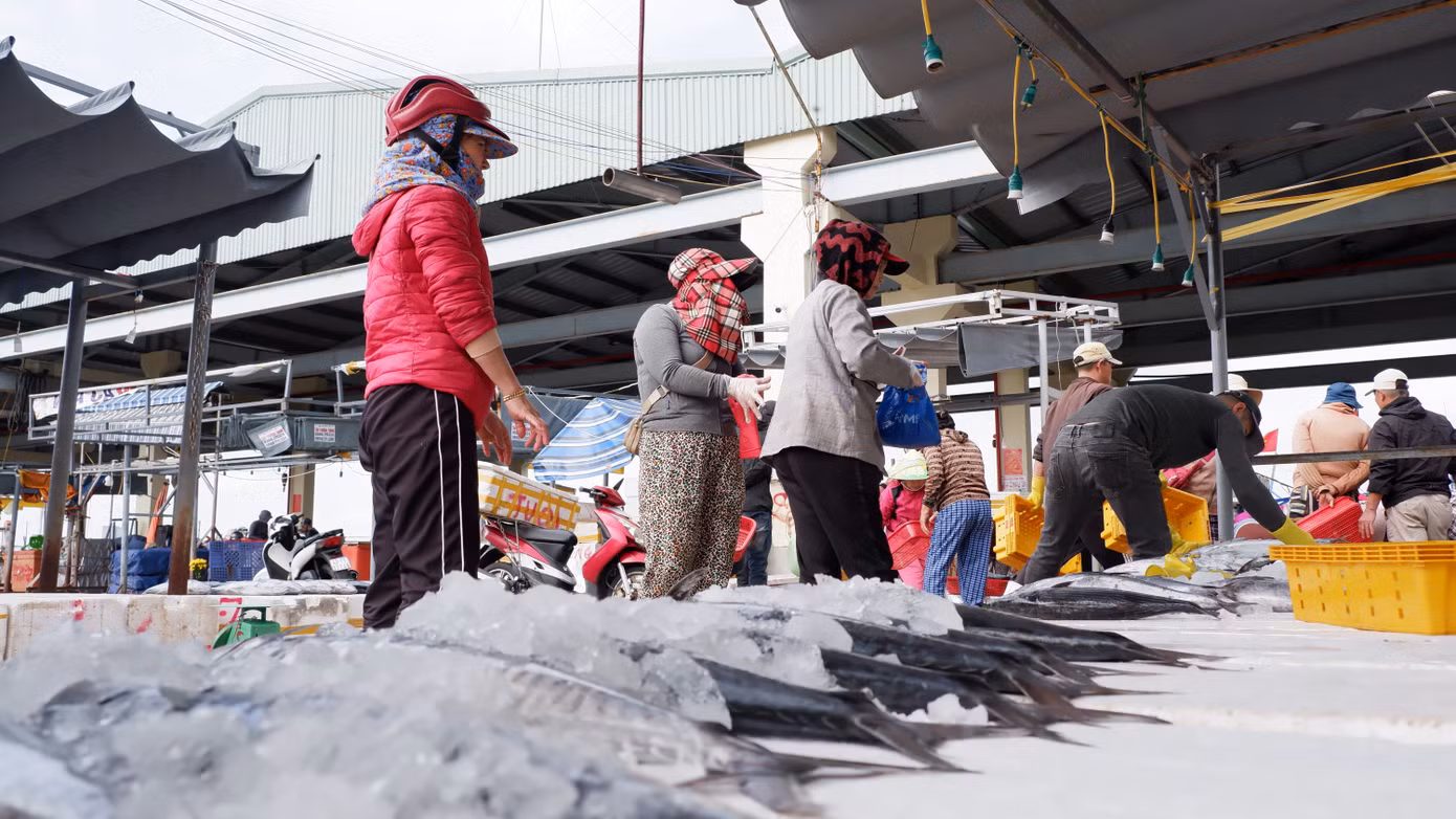 Ông Nguyễn Ngọc An, một ngư dân tàu cá Quảng Ngãi cho biết: Tàu cá đánh bắt xuyên Tết, đón Tết trên biển và mở hàng cho chuyến biển đầu năm nên ai cũng phấn khởi khi hải sản về bờ đều được thu mua một cách nhanh chóng.