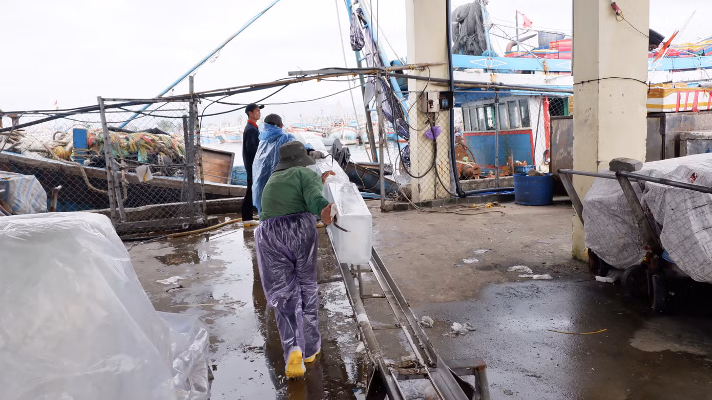Trong khi đó, nhiều tàu cá ngư dân neo đậu tại âu thuyền Thọ Quang cũng đang tất bật dự trữ lương thực, nhu yếu phẩm, ngư cụ, xăng dầu, đá lạnh... để ra khơi mở hàng biển đầu năm sau kỳ nghỉ Tết.