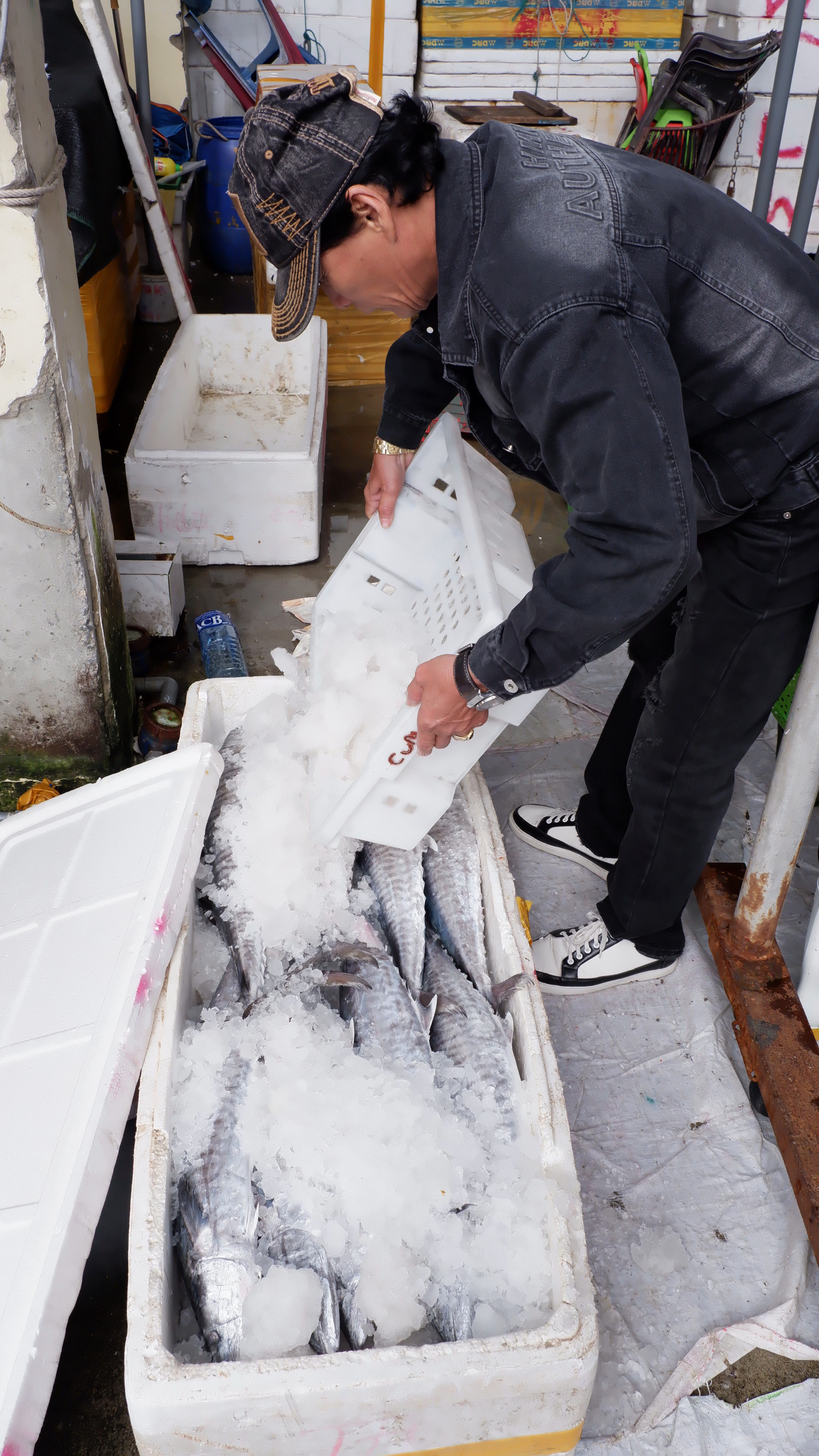 Sau khi lựa chọn, thu mua, cá được đóng thùng xốp, ướp đá lạnh mang đi tiêu thụ ở các chợ và khu vực lân cận. Sau khi lựa chọn, thu mua, cá được đóng thùng xốp, ướp đá lạnh mang đi tiêu thụ ở các chợ và khu vực lân cận.