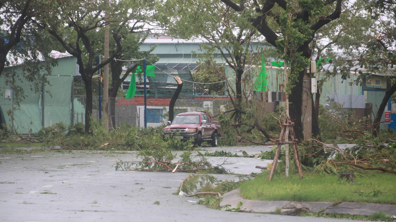 Tại quận Sơn Trà, một số tuyến đường cây xanh bị gió quật gãy ngổn ngang.