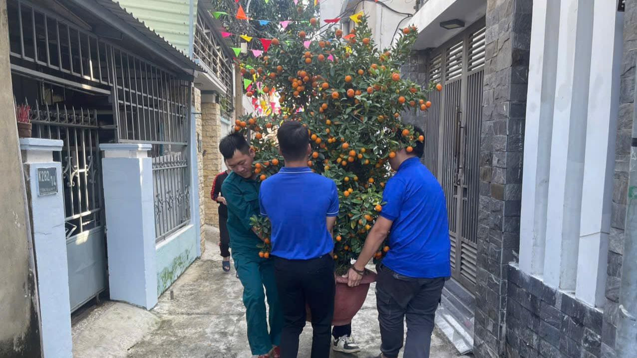 Đoàn viên thanh niên quận Sơn Trà vận chuyển cây quất cảnh do người dân tặng. Đoàn viên thanh niên quận Sơn Trà vận chuyển cây quất cảnh do người dân tặng.