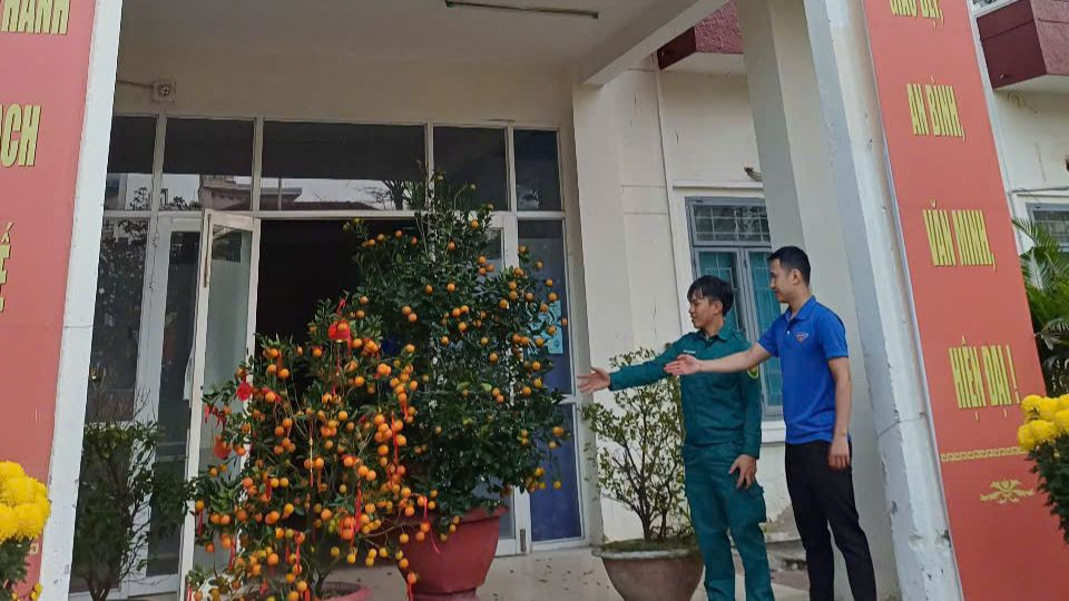 Các cây quất cảnh được người dân tặng cho Đoàn phường Nại Hiên Đông (Sơn Trà). Các cây quất cảnh được người dân tặng cho Đoàn phường Nại Hiên Đông (Sơn Trà).