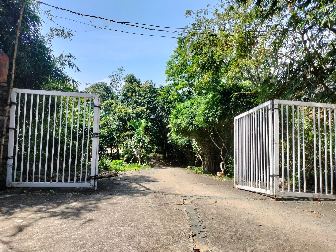 Thanh tra kiến nghị và UBND TP Đà Nẵng đã giao UBND quận Sơn Trà tiến hành xử lý, tháo dỡ các công trình trái phép. Tuy nhiên, đến nay mới có 10/68 trường hợp được tháo dỡ. Thanh tra kiến nghị và UBND TP Đà Nẵng đã giao UBND quận Sơn Trà tiến hành xử lý, tháo dỡ các công trình trái phép. Tuy nhiên, đến nay mới có 10/68 trường hợp được tháo dỡ.